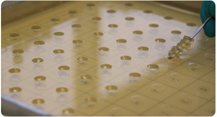 medicaments-innothera